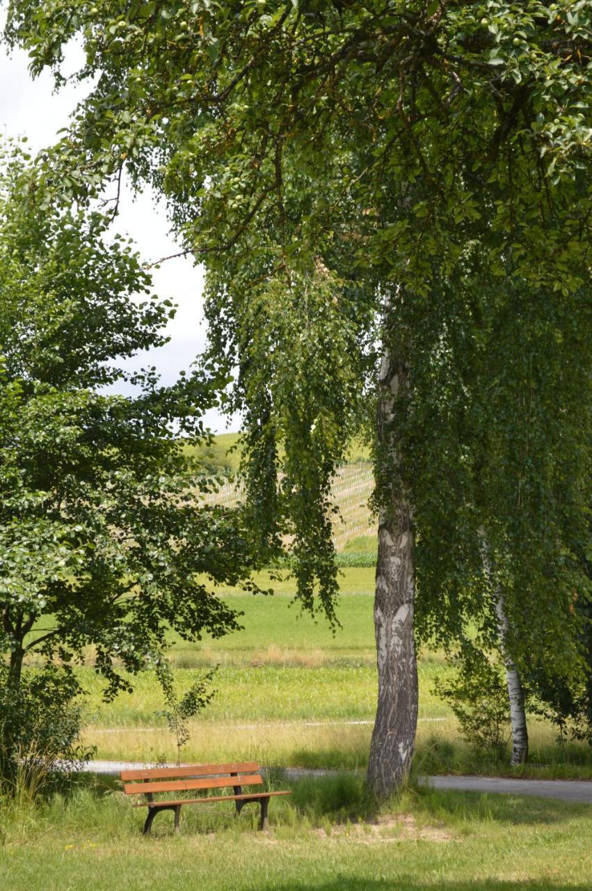 Fruehstueckspension Krump Bad Waltersdorf Luaran gambar